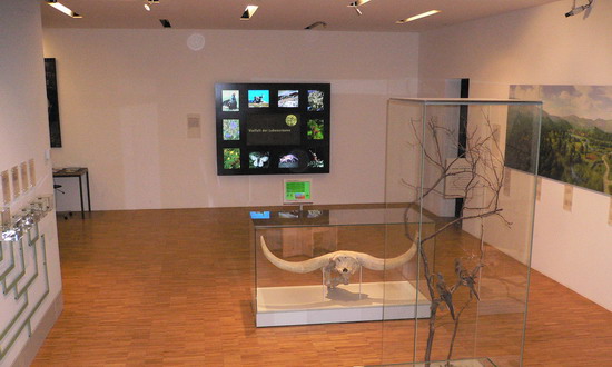 Projekte